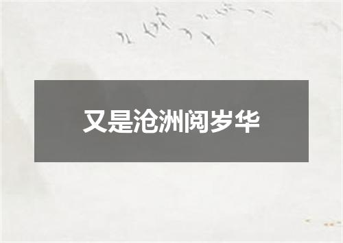 又是沧洲阅岁华