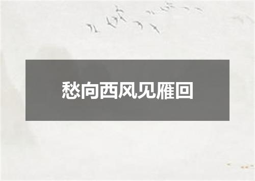 愁向西风见雁回