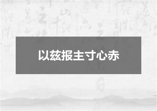 以兹报主寸心赤