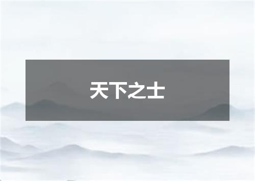 天下之士