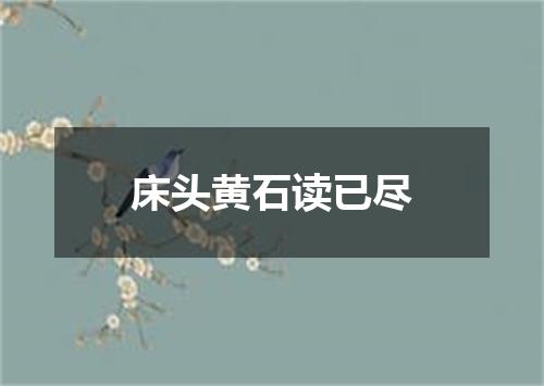 床头黄石读已尽