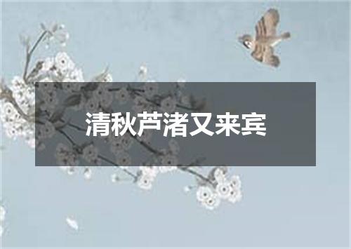 清秋芦渚又来宾