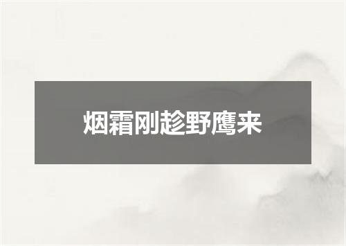 烟霜刚趁野鹰来