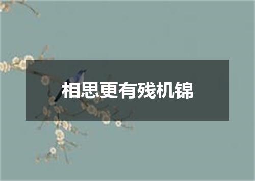 相思更有残机锦