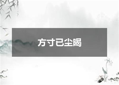 方寸已尘暍