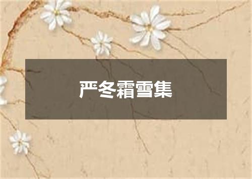 严冬霜雪集