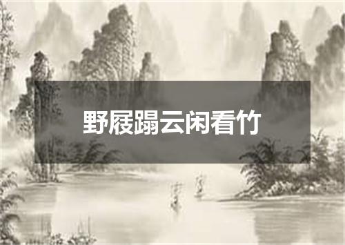 野屐蹋云闲看竹