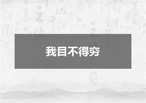 我目不得穷