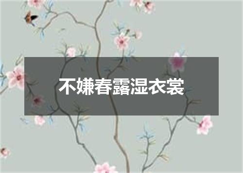 不嫌春露湿衣裳