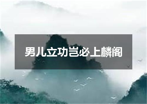 男儿立功岂必上麟阁