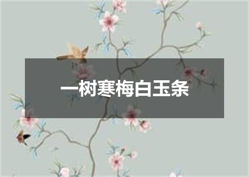 一树寒梅白玉条