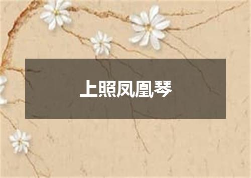 上照凤凰琴