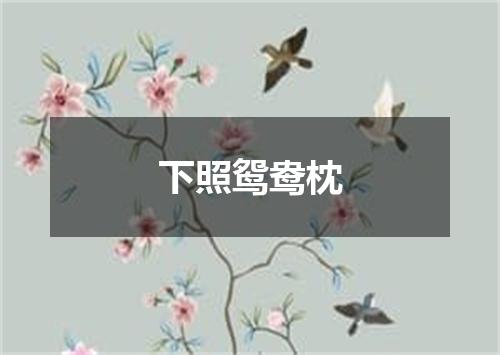 下照鸳鸯枕