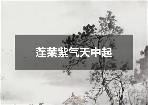 蓬莱紫气天中起