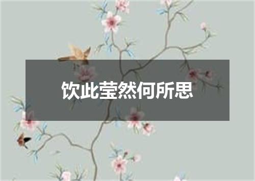饮此莹然何所思
