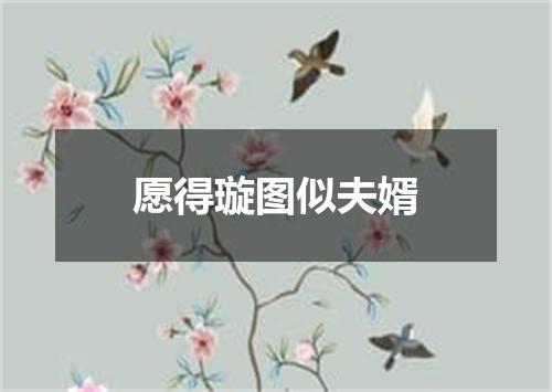 愿得璇图似夫婿