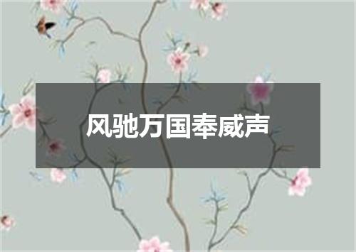 风驰万国奉威声