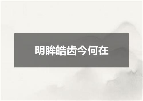明眸皓齿今何在