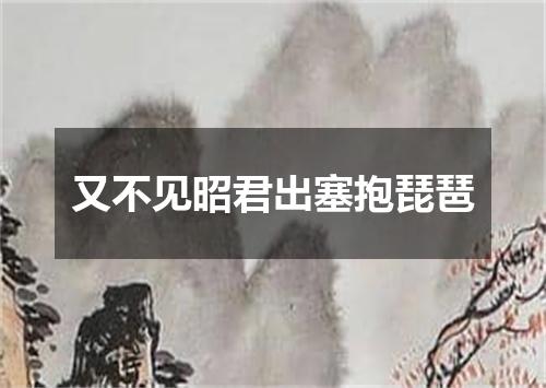 又不见昭君出塞抱琵琶