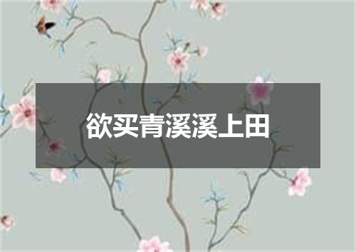欲买青溪溪上田