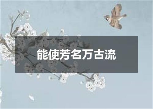 能使芳名万古流