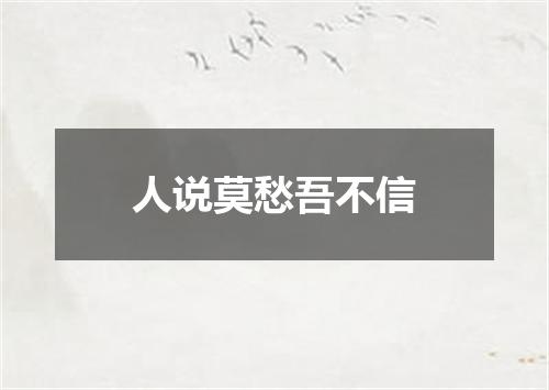 人说莫愁吾不信