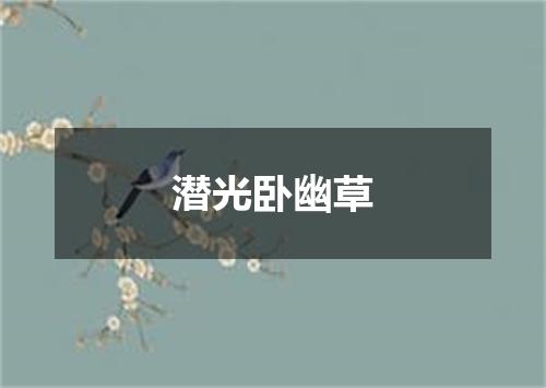 潜光卧幽草