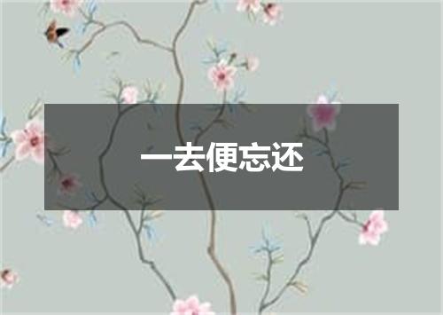 一去便忘还