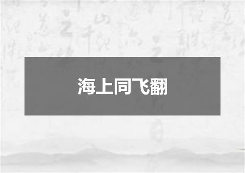 海上同飞翻
