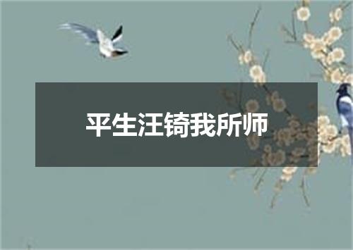 平生汪锜我所师