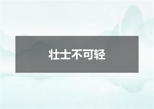 壮士不可轻