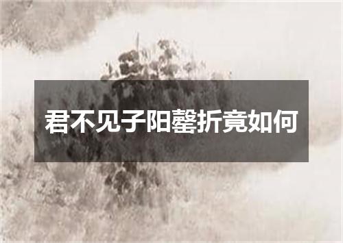 君不见子阳罄折竟如何
