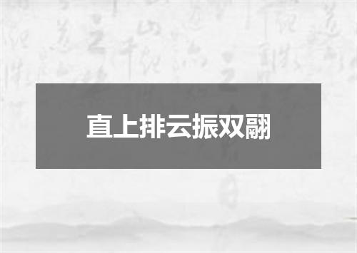 直上排云振双翮