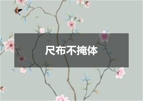 尺布不掩体