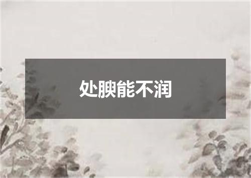 处腴能不润
