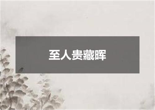 至人贵藏晖