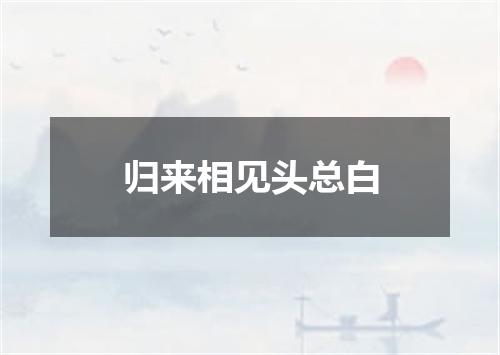 归来相见头总白