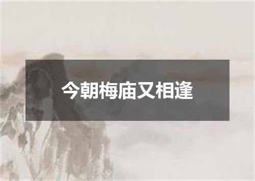 今朝梅庙又相逢