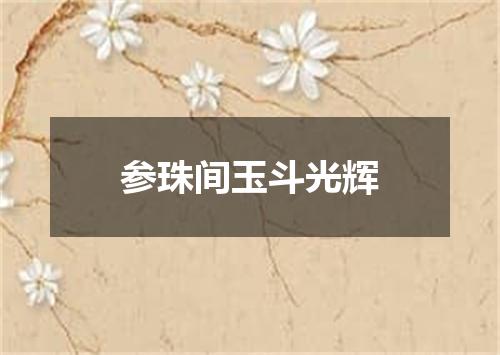参珠间玉斗光辉