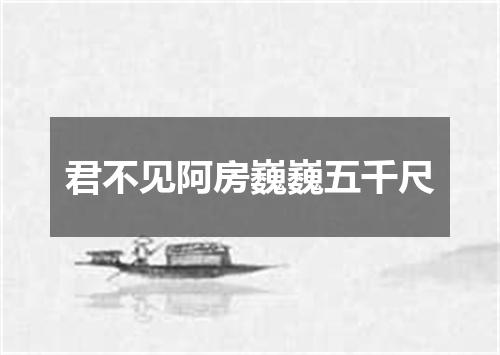 君不见阿房巍巍五千尺