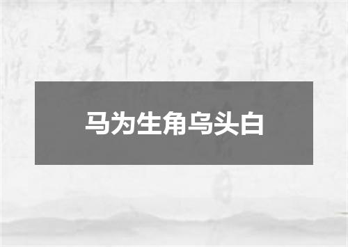 马为生角乌头白