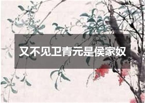 又不见卫青元是侯家奴