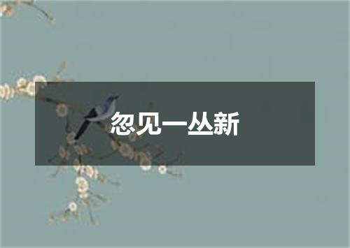 忽见一丛新