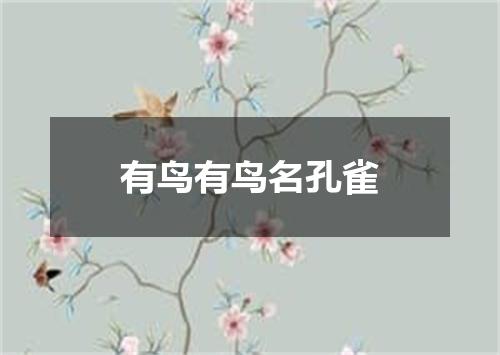 有鸟有鸟名孔雀