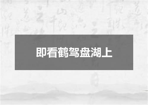 即看鹤驾盘湖上