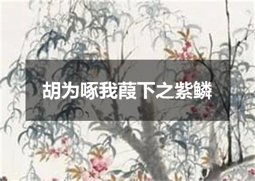 胡为啄我葭下之紫鳞