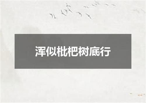 浑似枇杷树底行