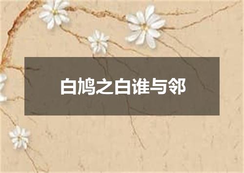 白鸠之白谁与邻