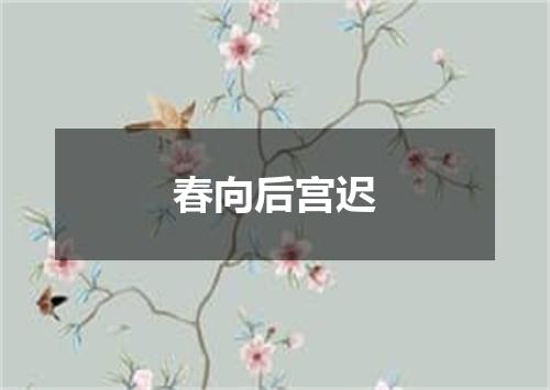 春向后宫迟