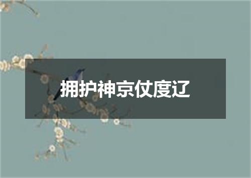 拥护神京仗度辽